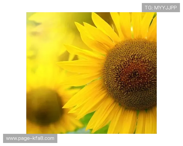 凯发体育官网平台登录网址官方入口，解决玩家登录难题确保账号安全稳定